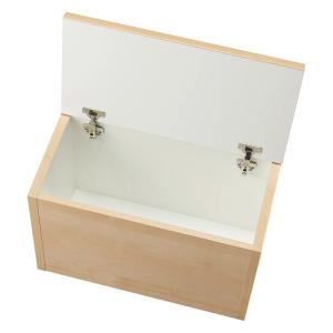 耐荷重100kg!組立不要 収納庫付ベンチ ボ...の詳細画像5