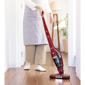 生活家電 家電小物 アクセサリー バッテリー エレクトロラックス エルゴラピード ノズル4種セット 768913