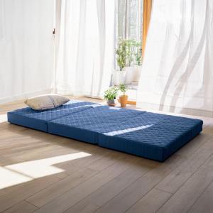 フランスベッド（FRANCEBED） LTショルダーフィットピロー (ハード