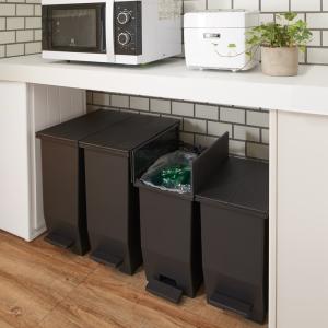 dinos（ディノス） ステンレス製ダストボックスワゴン 2分別タイプ