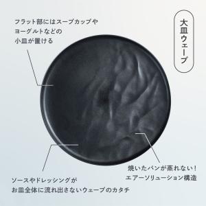 エイラス ARAS ディノス大人気10点セット...の詳細画像3