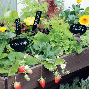 ガーデニング ネームプレート おしゃれの商品一覧 通販 Yahoo ショッピング