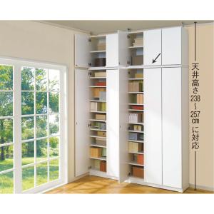 dinos（ディノス） Lumiere/ルミエル クリアブックシェルフ 幅82cm