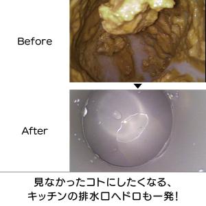 排水口 カビ取り 洗濯槽 キッチン 業務用 強...の詳細画像5