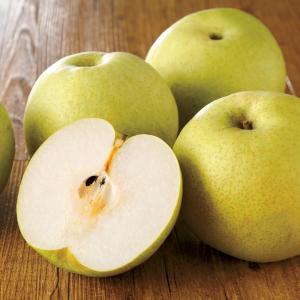 千葉産「かおり」梨 5kg【9月上旬頃-お届け】 野菜 果物 フルーツ FJ0724 爆買