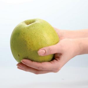 千葉産「かおり」梨 5kg【9月上旬頃-お届け...の詳細画像1