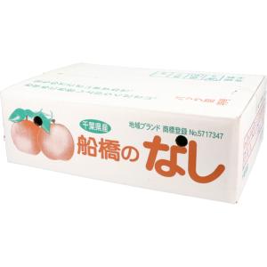 千葉産「かおり」梨 5kg【9月上旬頃-お届け...の詳細画像2