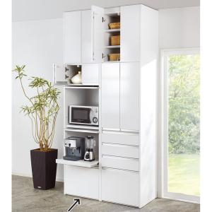 dinos Ymir/ユミル 隠せる家電収納 幅55奥行45cm高さ178cm