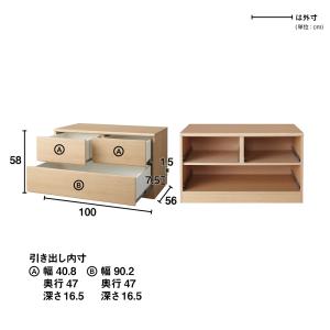 ≪幅100奥行56高さ58cm≫ クローゼット...の詳細画像2