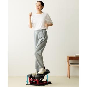 dinos（ディノス） 柔ら美人 開脚ベター イージースリム プラス