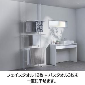 超薄型 省スペース 平干し 壁際収納 壁面収納...の詳細画像1