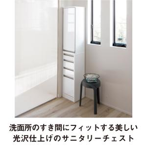 サイズが豊富な光沢すき間収納庫 幅25cm・奥...の詳細画像3