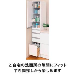 サイズが豊富な光沢すき間収納庫 幅25cm・奥...の詳細画像5