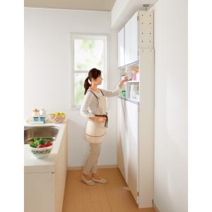 dinos（ディノス） 薄型で省スペースキッチン突っ張り収納庫 扉タイプ