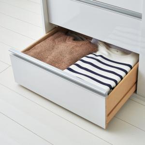 衣装ケース 衣類収納 洋服ラック 引き出し 大...の詳細画像5