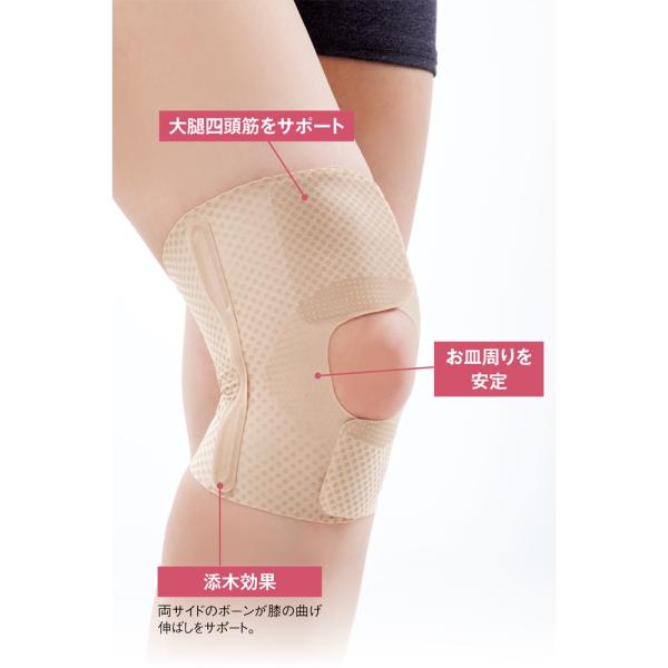 お医者さんの（R） ひざサポーター ピタ肌 2枚組 機能性ウェア 雑貨 機能性雑貨 M83707
