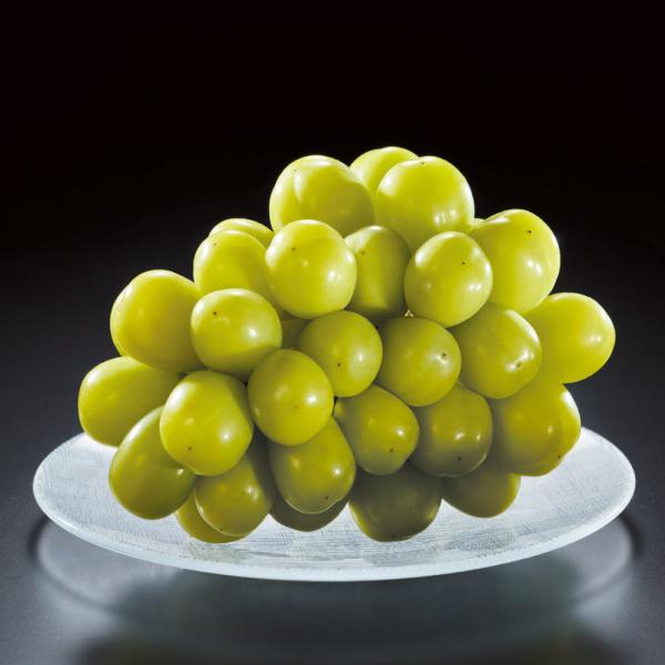 岡山産 ｄのシャインマスカット「晴王」 1房（700g）【8月中旬頃-お届け】 野菜 果物 フルーツ...