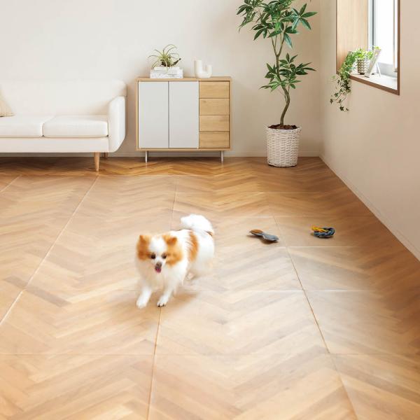 【ディノス限定販売】クラレプラスチックス 透明保護マット 60×60cm 2枚 掃除 お手入れ用品 ...