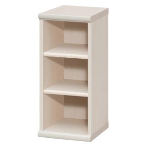 dinos（ディノス） 奥行き選べる背板オープン腰高本棚 幅90奥行40cm