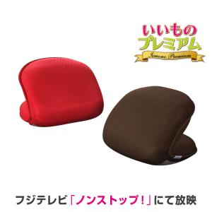 シェイプ フィットネス器具 東急スポーツオアシス バウンドクッション AR1689