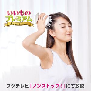 美容 ヘアケア器具 ミーゼ ヘッドスパ リフト AR1854