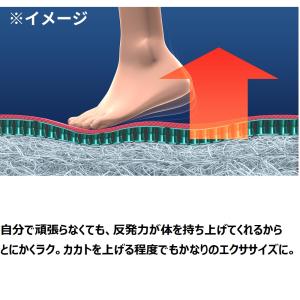 トランポリン 大人用 フィットネス器具 フジテ...の詳細画像4