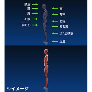 シェイプビート プレミアム ems 頭皮 顔 ...の詳細画像4