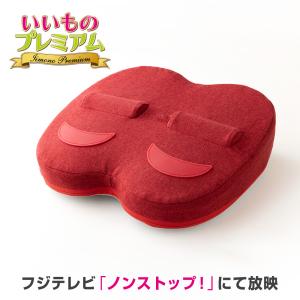 トレーニング グッズ トレーニング器具 筋トレ 有酸素運動 運動不足 自宅 静音 ふくらはぎ 太もも お尻 オアシス ふみトレステッパー フィットネス器具 AR2332