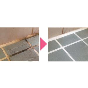 パイプ洗浄剤 業務用 排水口 強力 洗浄剤 パ...の詳細画像2