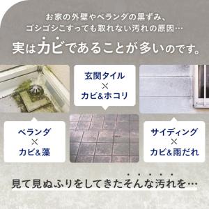 ビーオ カビ取り剤 除去 スプレー 洗浄かび ...の詳細画像3