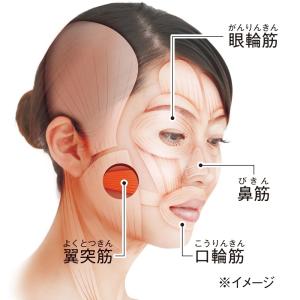 美顔器 EMS 振動 マイクロカレント ヒータ...の詳細画像4