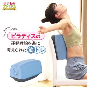 背骨アクティブクッション AR2654