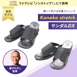 サンダル アーチサポート 足裏 レディース 外...の詳細画像1