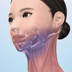スタイリーフェイス 美容 美顔器 EMS フェ...の詳細画像2