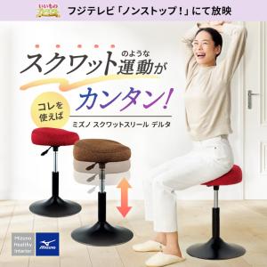スクワット椅子 椅子 トレーニング ストレッチ...の詳細画像1