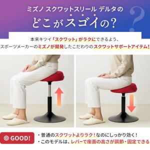 スクワット椅子 椅子 トレーニング ストレッチ...の詳細画像3