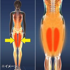 トレーニング マシン 筋トレ エクササイズ 内...の詳細画像4