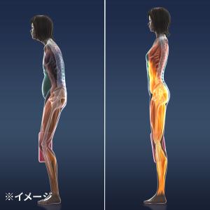 トレーニング マシン 筋トレ エクササイズ 内...の詳細画像5