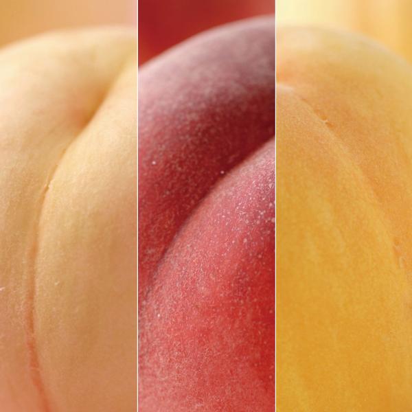 野菜 果物 フルーツ サン・フルーツ厳選 3種の桃の食べ比べ N99093