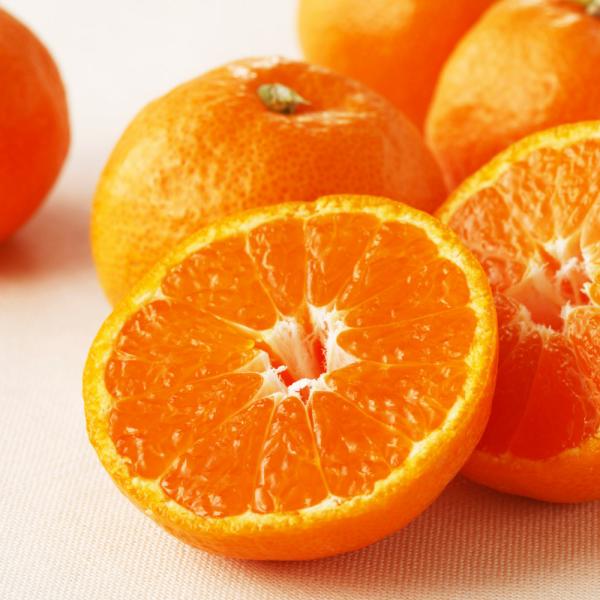 愛媛産 「日の丸みかん ゴールド千両」 3kg【12月上旬-12月中旬頃お届け】 野菜 果物 フルー...