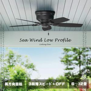 HUNTER（ハンター） シーリングファン シーエアー Sea Air 53061 3