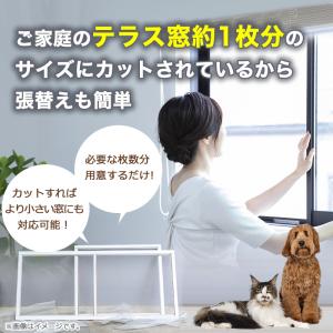 公式 大特価 訳あり 網戸 張替 ペット専用 ...の詳細画像5