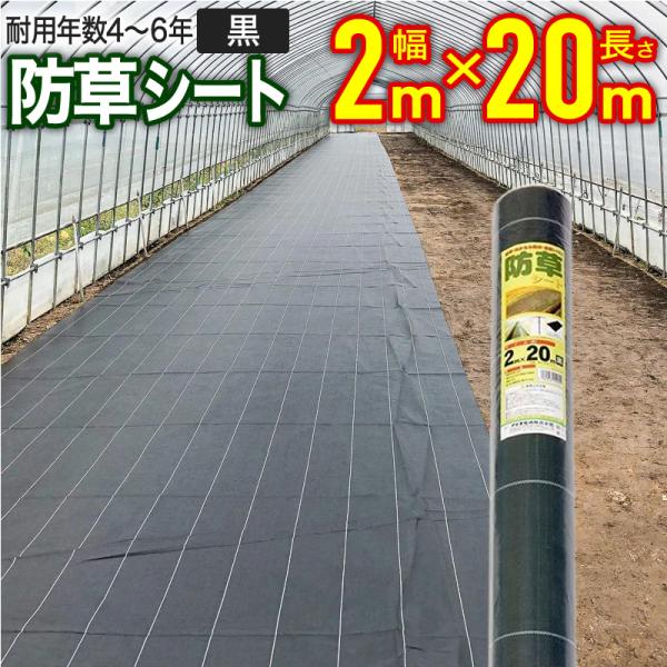 公式 防草シート  幅2ｍ×長さ20ｍ 【ダイオブランド】