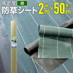 イノベックス 防草シート プレミアム15 黒 2m×30m×2本セット : ねっと