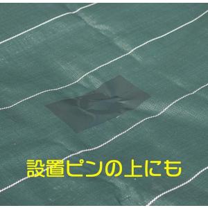 公式 防草シート施工用テープ 80mmx10m...の詳細画像3