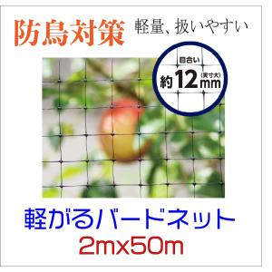 ダイオ 公式 鳥よけ 防鳥 黒 12mm目 2mx100m 広幅 長巻 軽々バード