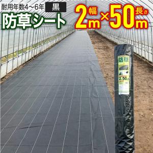 ダイオ 公式 抗菌剤入り防草シート黒 150cm×100m 【ダイオブランド