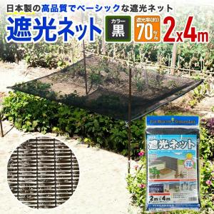 ダイオ 日本製 遮光ネット 90BHT 2m×2m 遮光約90% 黒 ボタンホール付