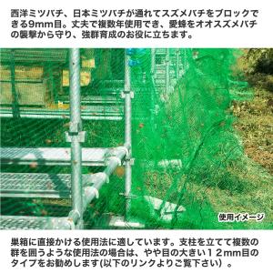 公式 養蜂用 スズメバチ対策ネット ダイオネッ...の詳細画像2