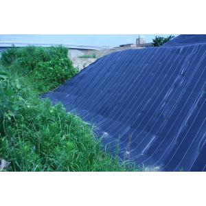 公式 抗菌剤入り防草シート黒 200cm×10...の詳細画像1